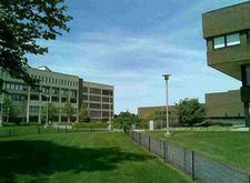 纽约州立大学石溪分校