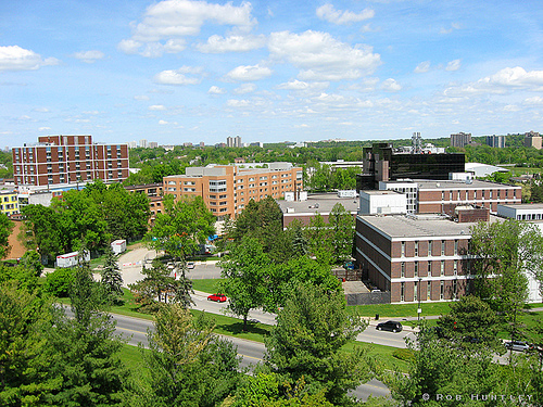 卡尔顿大学