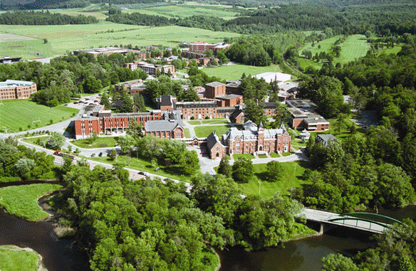 毕索大学