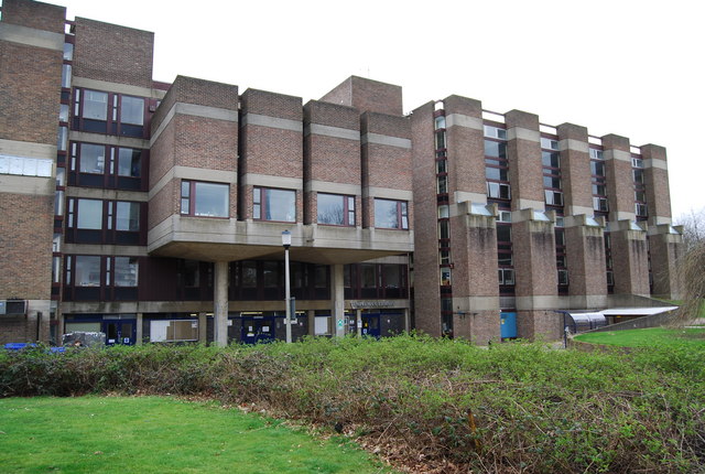 肯特大学