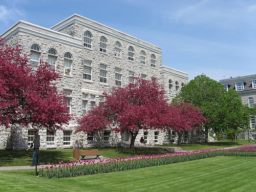 埃塞克斯大学