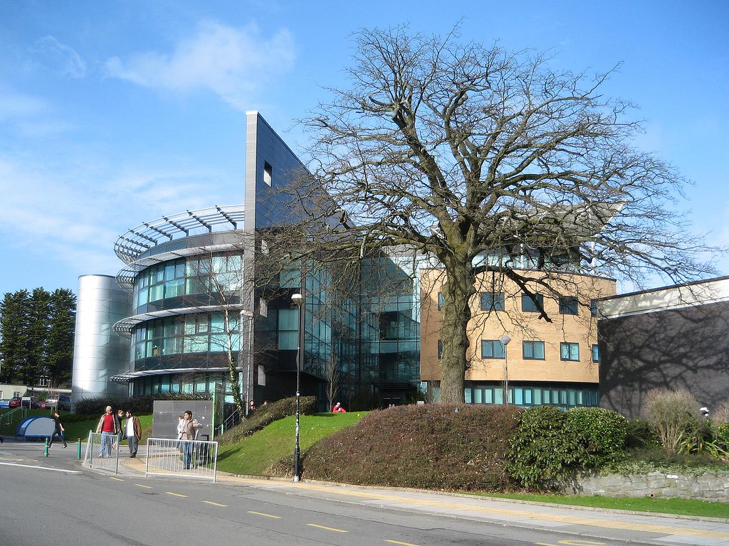 斯旺西大学