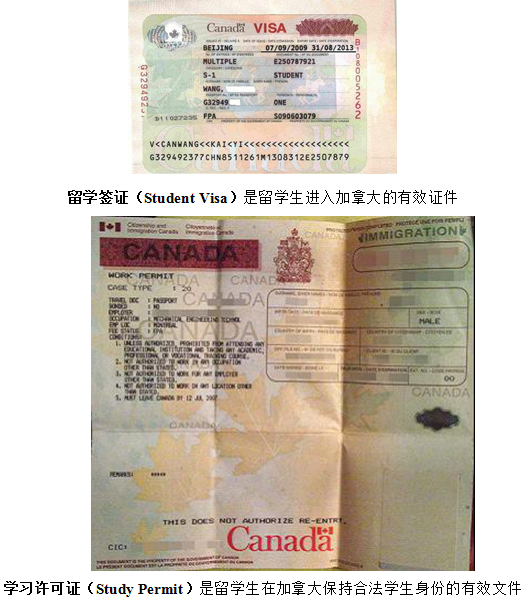 www.shanpow.com_2016加拿大人籍新政策实施。